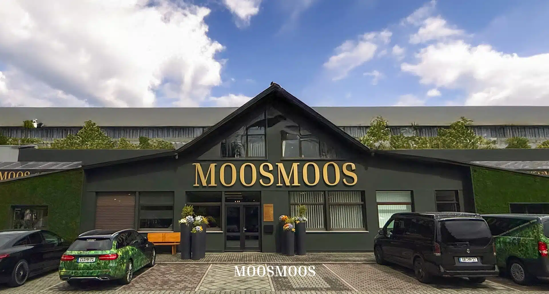 MOOSMOOS Hintergrund